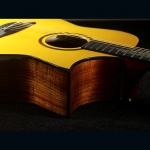 Cort akusztikus gitár, Frank Gambale  Signature