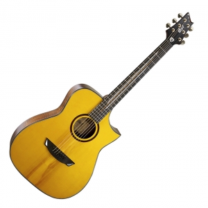 Cort akusztikus gitár, Frank Gambale  Signature